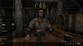 The Elder Scrolls 5: Skyrim