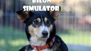 Bilon Simulator (itch)