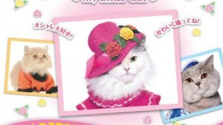 Koneko no Album: My Little Cat