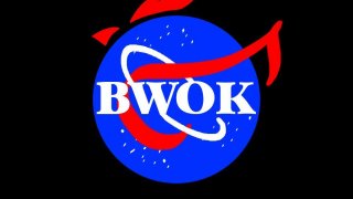 BWOK ( 4 players party game) (itch)