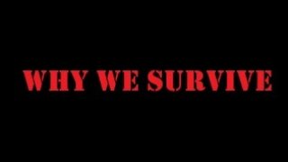 Why We Survive (itch)