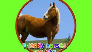 friendly horses for kids - free