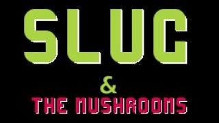 Slug & The Mushrooms (itch)
