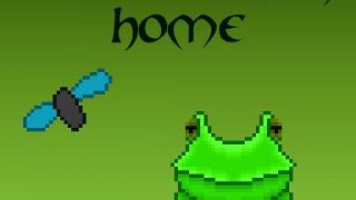 Frog's Journey Home (itch)