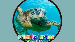 friendly turtles for kids - free