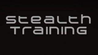 Stealth Training (itch)