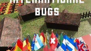 International bugs (itch)
