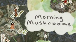 Morning Mushrooms (itch)