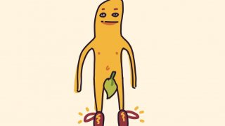 Bruno's Bootstraps (itch)