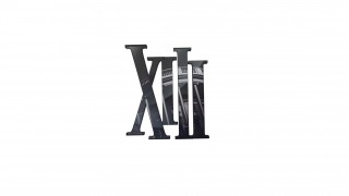 XIII (2020)