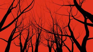 Black&Red (bunkum) (itch)
