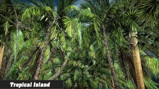 Island Simulator 2016 (itch)