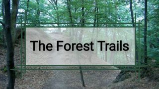 The Forest Trails (itch)