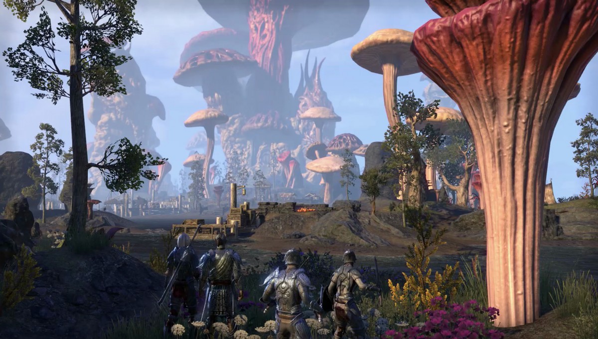Morrowind рюкзак для еды рейтинг рюкзаки школьные