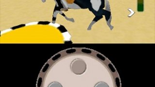 Riding Star 3D