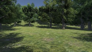 Walking Simulator (ZeIndieGames) (itch)