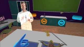 VR Frog Dissection: Ribbit-ing Discoveries (itch)