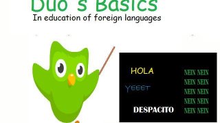 Duo's Basics in Education of Foreign Languages (itch)