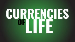 Currencies of Life (itch)