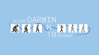 Become Darwin in 10 Seconds (itch)