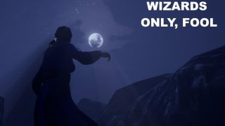 Wizards Only Fool (itch)
