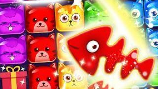 popcat one 8