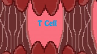 Treatment Cell ( T Cell) (itch)