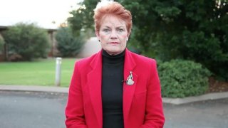 Pauline Hanson Simulator (itch)