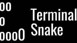 Classic Snake Simulator (itch)
