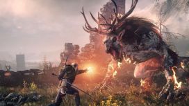 The Witcher 3: Game of the Year