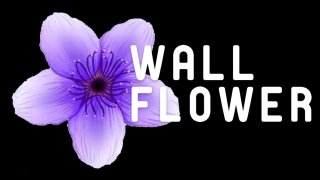 Wallflower (itch)