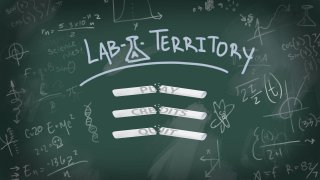 Lab-A-Territory (itch)