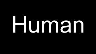 Human (Lawnch_) (itch)