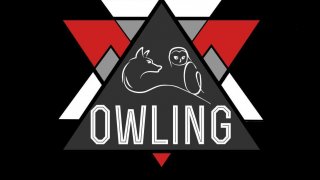 The Owling (itch)