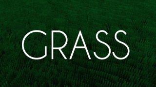 Grass (itch)