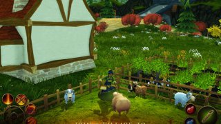 3D MMO Villagers & Heroes