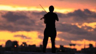 Irene's Fiddler (itch)