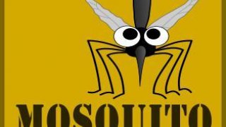 Mosquito (itch)