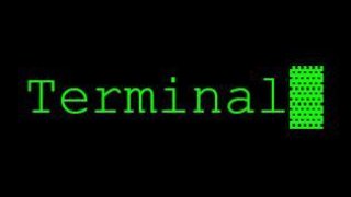 Terminal (Max Mallory) (itch)
