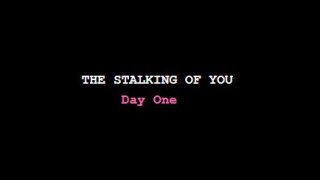 The Stalking of You (itch)