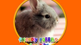friendly rabbits for kids free