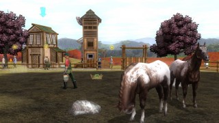 Wildlife Park 2: Horses