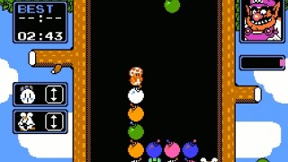 Wario's Woods