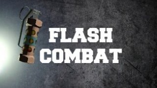 Flash Combat (Early Dev.) (itch)