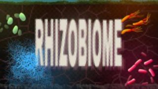 Rhizobiome (itch)