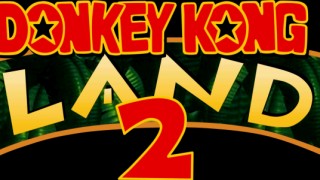 Donkey Kong Land 2