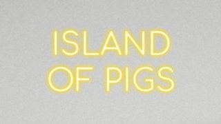 Island of Pigs (itch)