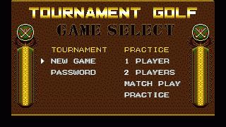 Arnold Palmer Tournament Golf