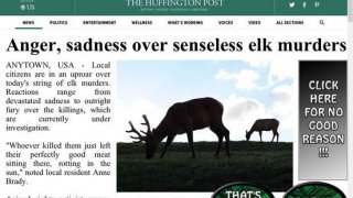 Elk Murder HD