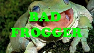 BAD FROGGER (itch)